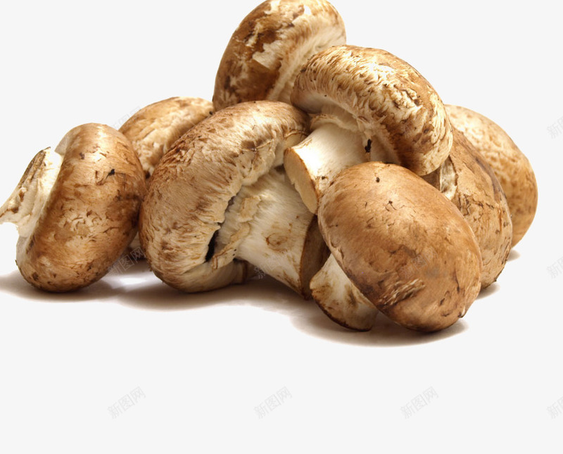 一堆蘑菇png免抠素材_新图网 https://ixintu.com png图形 png装饰 菌类 蘑菇 装饰 食物