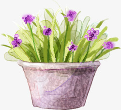 紫色梦幻盆栽植物素材