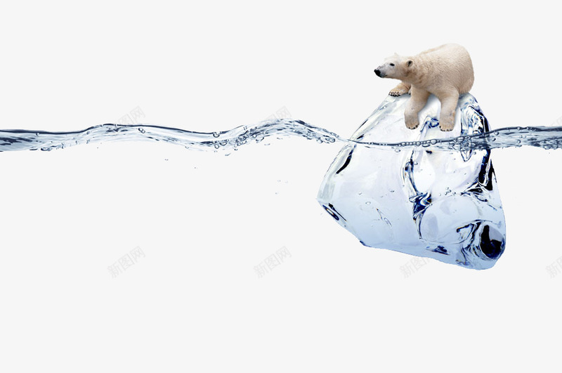 冰块上的北极熊png免抠素材_新图网 https://ixintu.com 冰块 冰雪融化 创意 北极熊 水波 水浪 水纹 水花 温室效应 设计