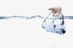 温室效应冰块上的北极熊高清图片