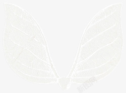 隐形隐形的翅膀高清图片