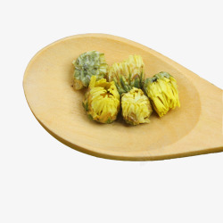 雪菊产品实物有机胎菊茶高清图片