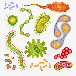细菌细胞矢量图素材
