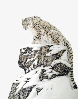 高山雪原上的雪豹国画作品素材