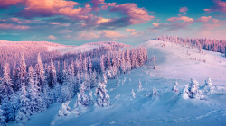 冬日雪景唯美美景素材