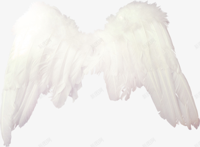 白色漂亮翅膀png免抠素材_新图网 https://ixintu.com 漂亮翅膀 白色羽毛 白色翅膀 翅膀 翅膀素材