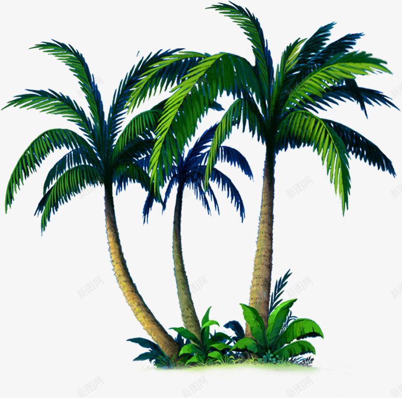 夏天椰子树png免抠素材_新图网 https://ixintu.com 俯视椰子树 夏天 椰子树 素材