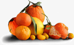 一堆大小各异的柑橘素材