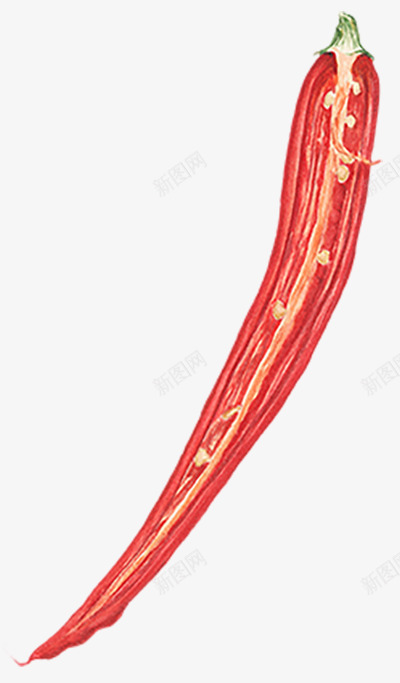 手绘红辣椒png免抠素材_新图网 https://ixintu.com 侧面 手绘 红辣椒
