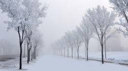 白色的创意合成雪花效果场景素材