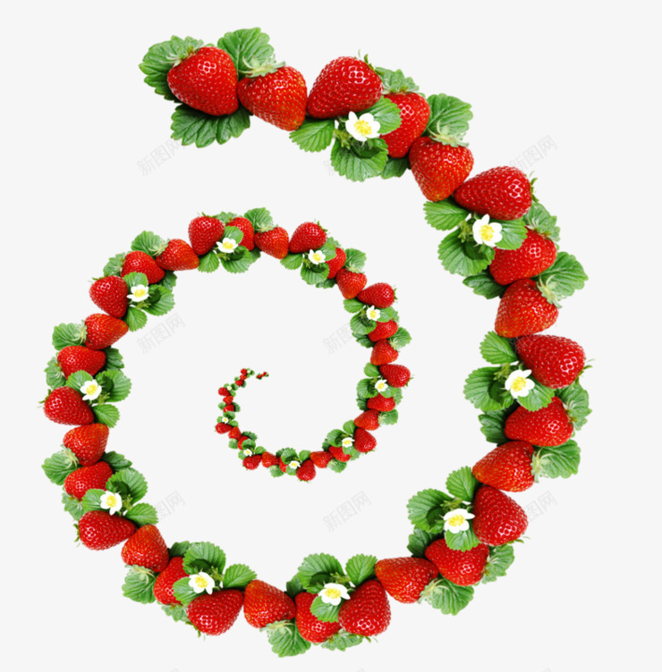排成螺旋形状的草莓png免抠素材_新图网 https://ixintu.com 水果 草莓 草莓花 螺旋形状