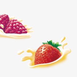 草莓水果红莓素材