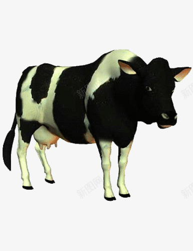 黑白色奶牛动物牛奶png免抠素材_新图网 https://ixintu.com 动物 奶牛 牛奶 白色 黑白牛