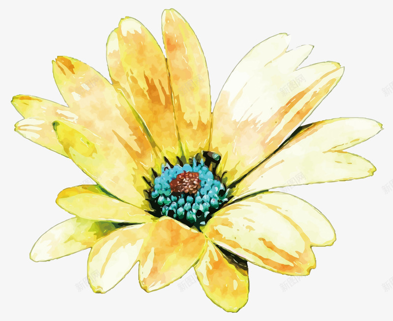 菊花png免抠素材_新图网 https://ixintu.com PNG图片 PNG图片素材 PNG素材 PNG素材免费 PNG素材免费下载 手绘 水彩 花朵 菊花