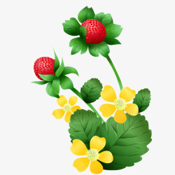 草莓植物素材