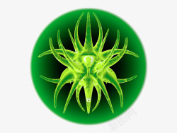 医疗教学绿色生物细胞病毒细菌高清图片