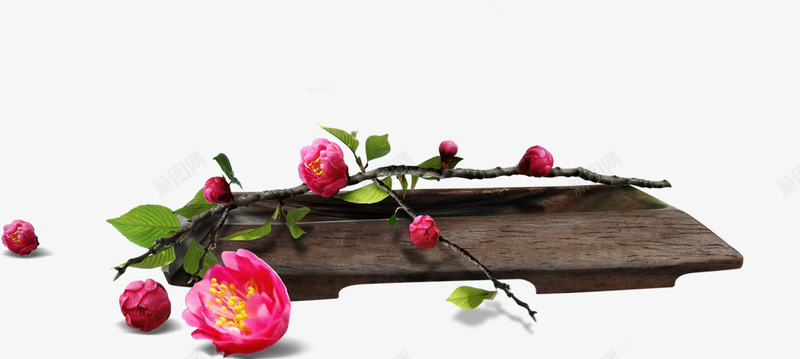 粉色鲜花花朵植物端午png免抠素材_新图网 https://ixintu.com 植物 端午 粉色 花朵 鲜花
