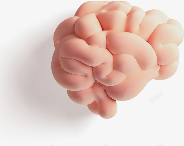 立体大脑图标png_新图网 https://ixintu.com 3D ICON 大脑 思想 思考 立体素材 纸壳素材 高清