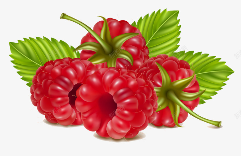 野草莓png免抠素材_新图网 https://ixintu.com 创意 卡通 手绘 水果 红色 野草莓