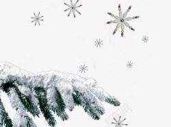 枝头上的鹦鹉下雪了的高清图片