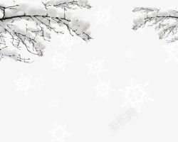 雪天气积满雪的树枝雪花高清图片