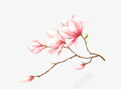 桃花化妆品手绘粉色桃花高清图片