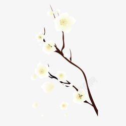 白色花背景画一支白色梅花高清图片
