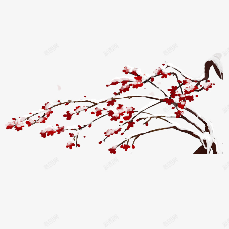 红色新年梅花元素png免抠素材_新图网 https://ixintu.com 下雪 传统 光泽 喜庆 开花 新年 梅花 植物 红色 自然