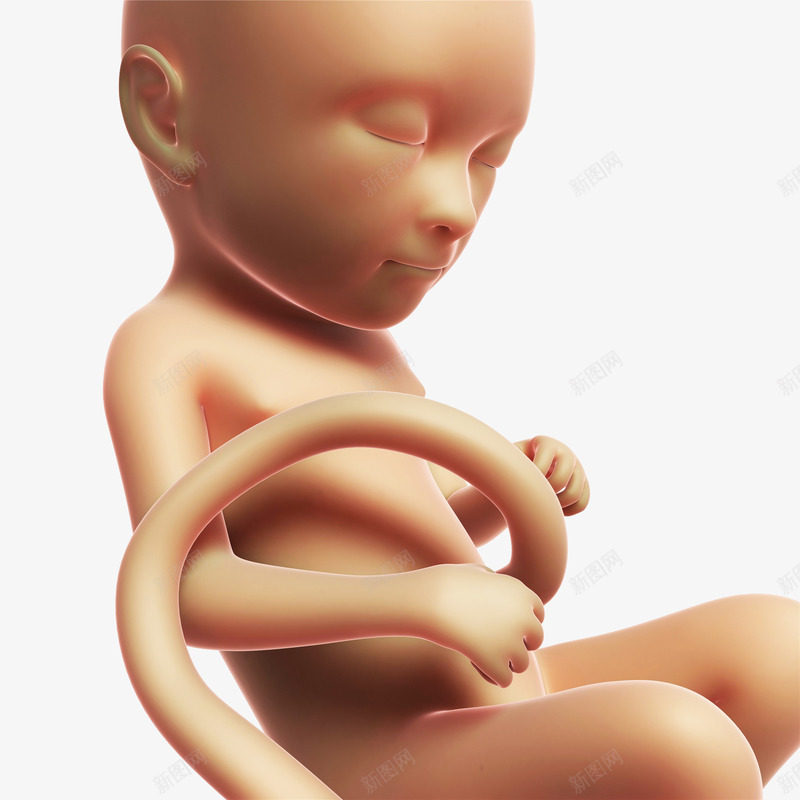 成型的婴儿png免抠素材_新图网 https://ixintu.com 出生 婴儿 宝宝 小娃娃 新生儿 母婴 胎儿 胚胎 脐带 脐带血 诞生 降临