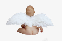 白色天使翅膀婴儿素材