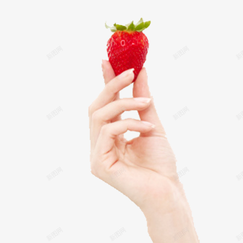 手托草莓png免抠素材_新图网 https://ixintu.com 手掌 海报 红色 草莓 食物