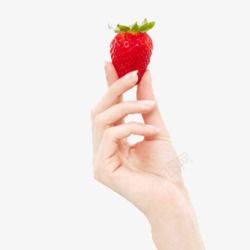 手掌心中的草莓手托草莓高清图片