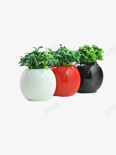 绿色盆栽png免抠素材_新图网 https://ixintu.com 室内装饰品 摆件 植物 陶瓷花瓶