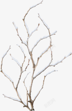白雪雪花雪花树枝高清图片