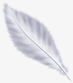 羽毛翅膀白色羽毛素材