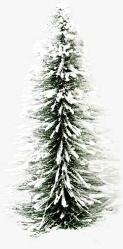 大雪树木冬季海报素材