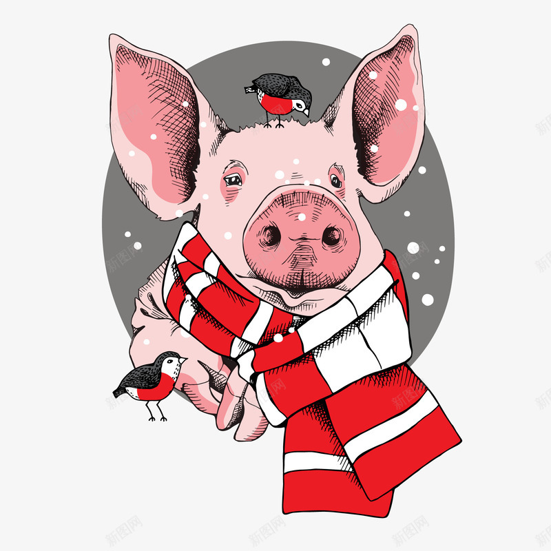 卡通手绘的圣诞节的小猪矢量图ai免抠素材_新图网 https://ixintu.com 动物设计 卡通 围巾 圣诞节 小猪设计 猪年 矢量图