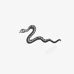 蛇纹身蛇印花高清图片