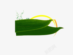 粽叶端午素材
