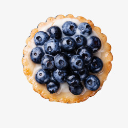 蓝莓饼干素材