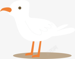 和平的象征白色的鸽子矢量图高清图片