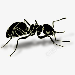 动物蚂蚁openiconlibraryothersi图标png_新图网 https://ixintu.com animals ant 动物 蚂蚁
