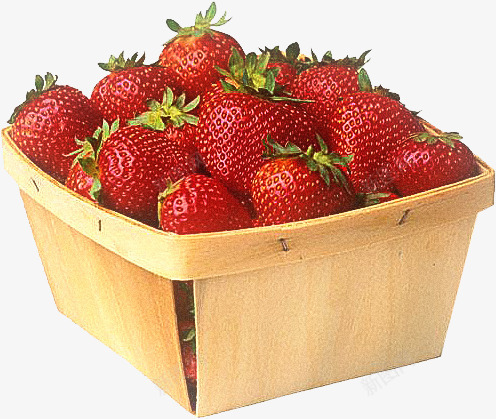 木篮子草莓png免抠素材_新图网 https://ixintu.com 木篮子 草莓