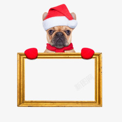 戴着圣诞帽手绘戴着圣诞帽的小狗高清图片