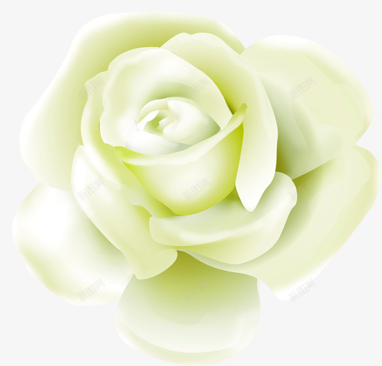 白色花朵模糊教师节png免抠素材_新图网 https://ixintu.com 教师节 模糊 白色 花朵