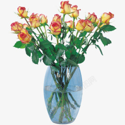 玻璃瓶中花卉花瓶高清图片