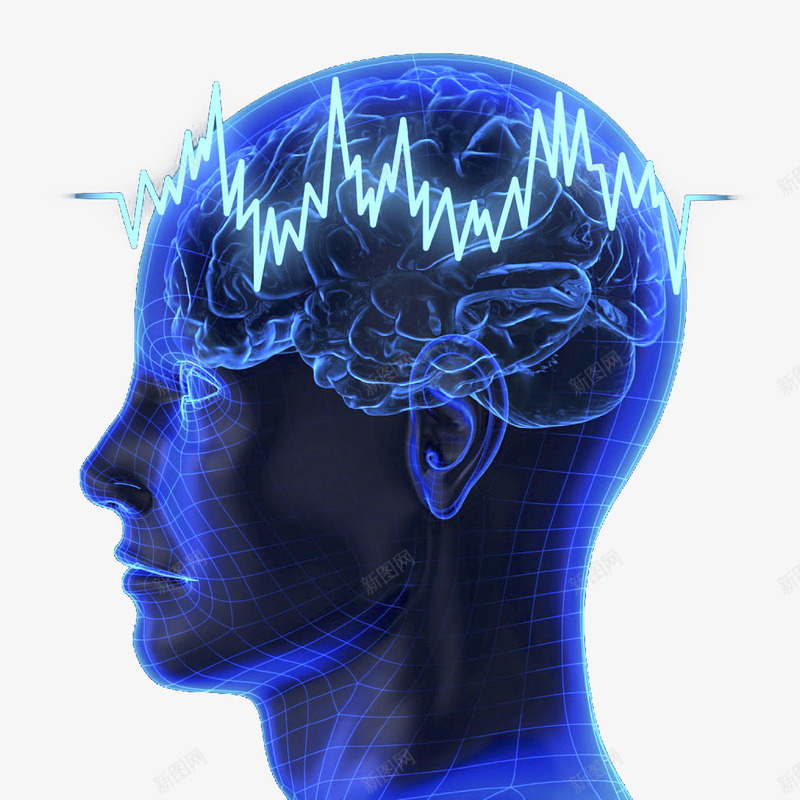 人脑模型png免抠素材_新图网 https://ixintu.com 人脑 实验 模型 生物科研 电脑模拟 研究 科技 脑电波