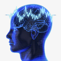脑电波人脑模型高清图片