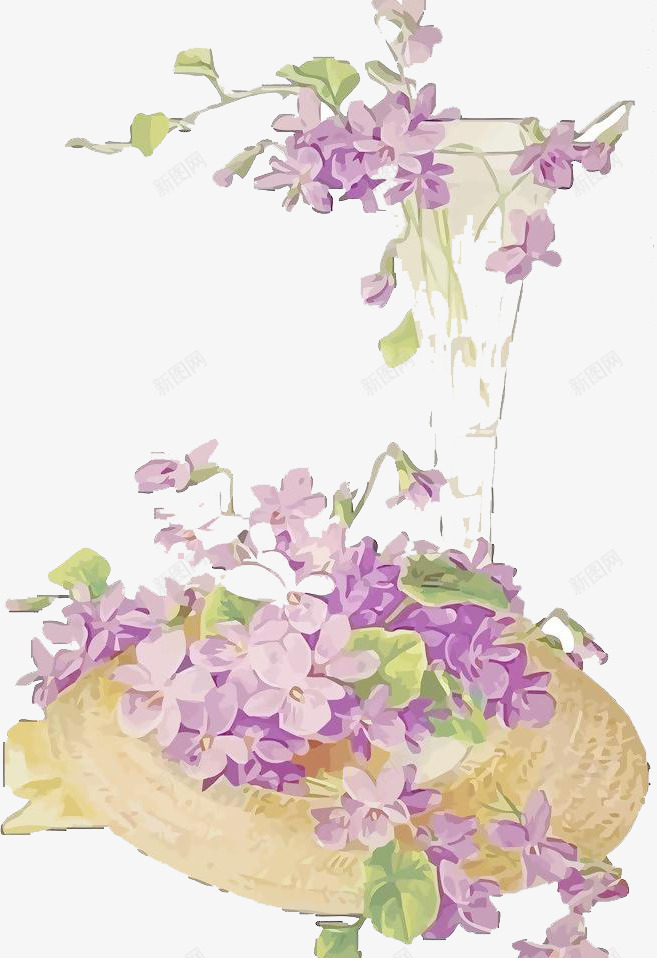 美丽茂盛的紫罗兰png免抠素材_新图网 https://ixintu.com 手绘 手绘紫罗兰 植物 紫罗兰 紫色 绿色 美丽 花朵 芳香