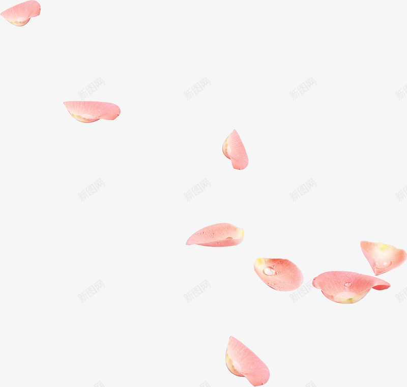粉色唯美漂浮花瓣意境png免抠素材_新图网 https://ixintu.com 意境 漂浮 粉色 花瓣